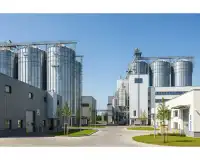 Feed Mill Setup for Beginners: A Step-by-Step Guide