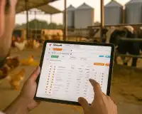 Strategies for Increasing Feed Efficiency in Livestock Farming: Maximizing Benefit with YemYap