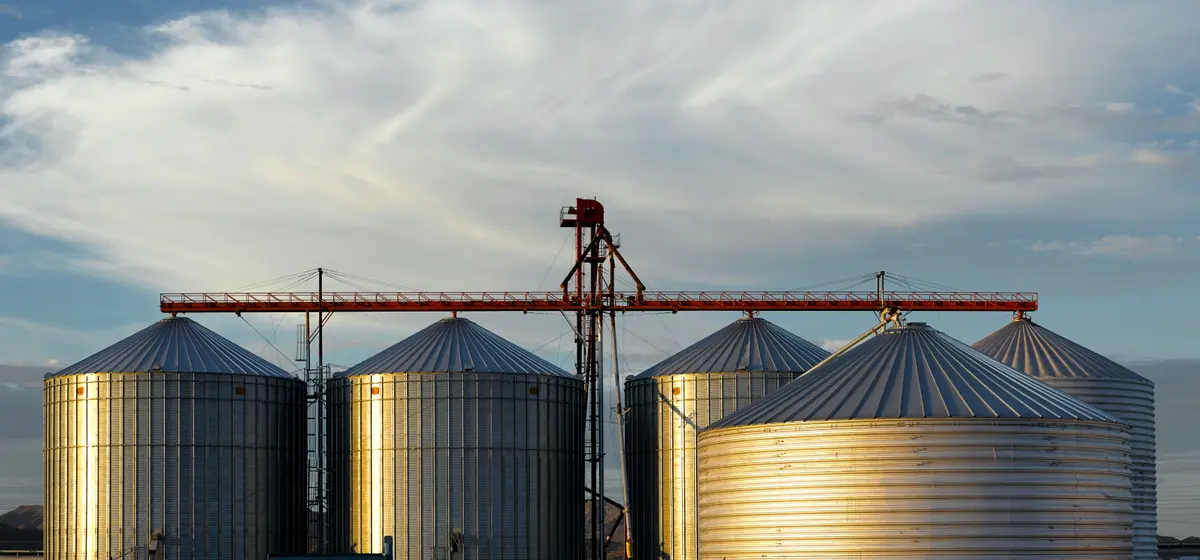 Instalación de Fábrica de Piensos: Inversiones Críticas que Definen la Rentabilidad